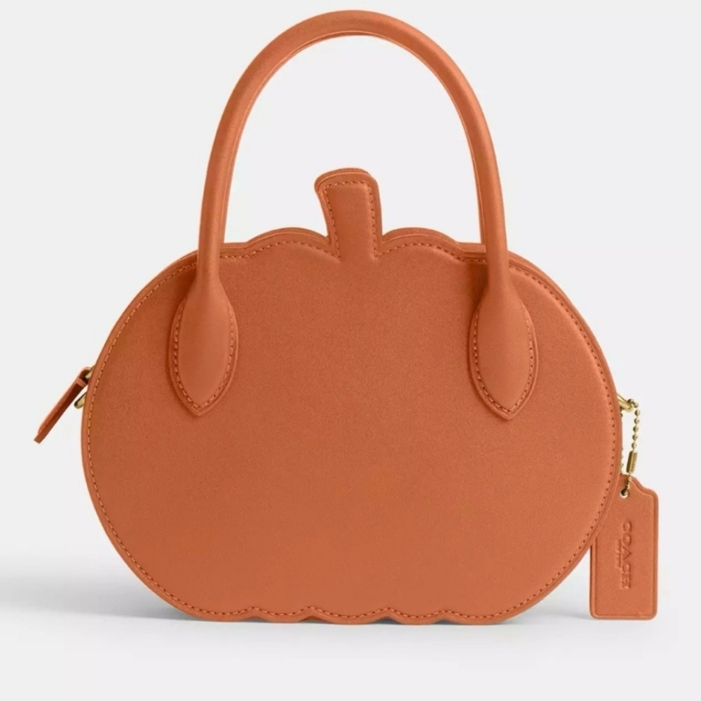 Coach  Pumpkin Runway Bag NWT
